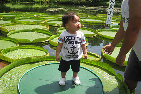 鬼山地獄スタッフによるワニの餌付け